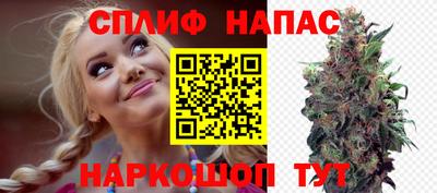 гашик Севастополь